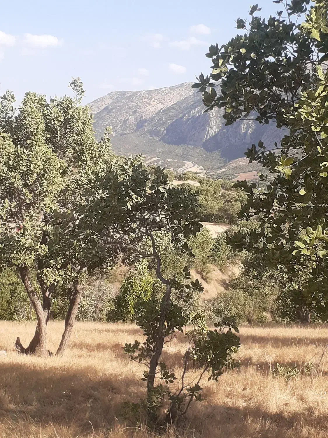 راننده پایه دو۲هستم مدارک کامل|استخدام حمل و نقل|گهواره, |دیوار