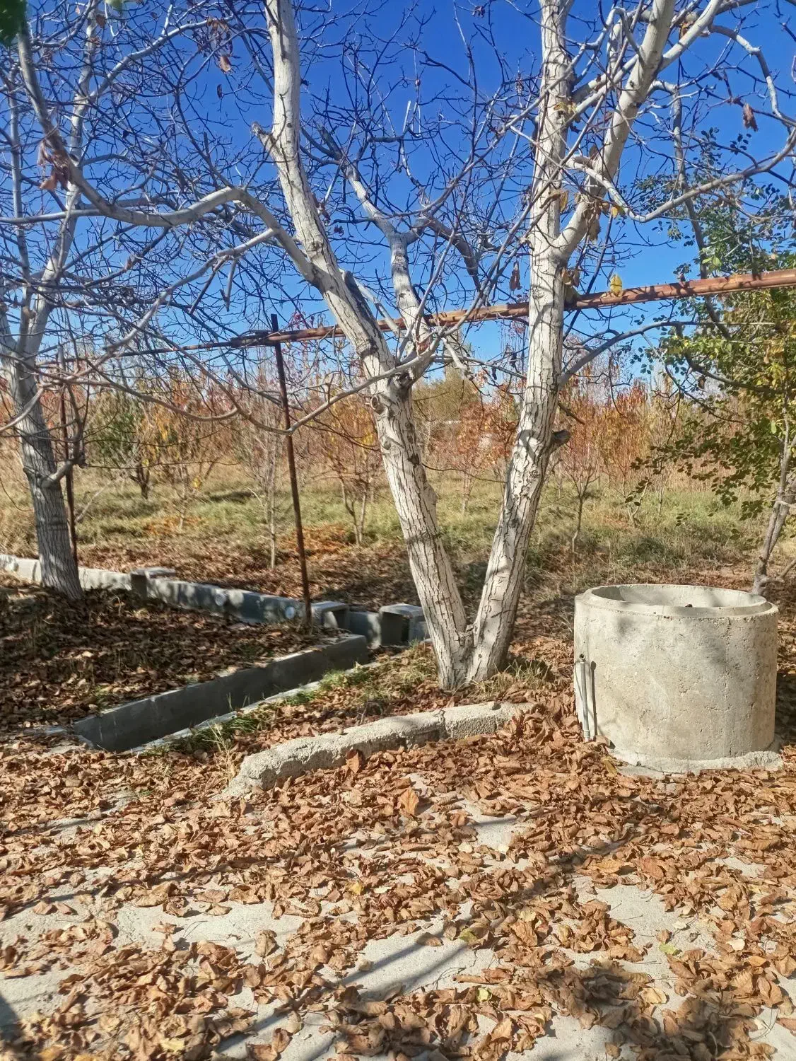 خانه باغ جاده سلماس روستای حیدرلو|فروش خانه و ویلا|نوشین شهر, |دیوار