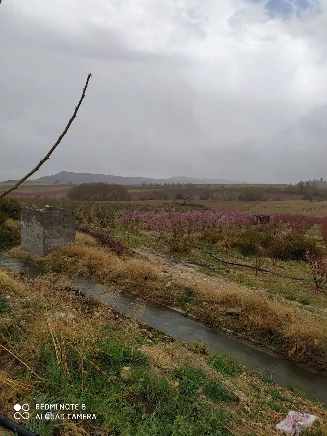 فروش زمین جهت احداث باغ|فروش دفتر صنعتی، کشاورزی، تجاری|کوار, |دیوار