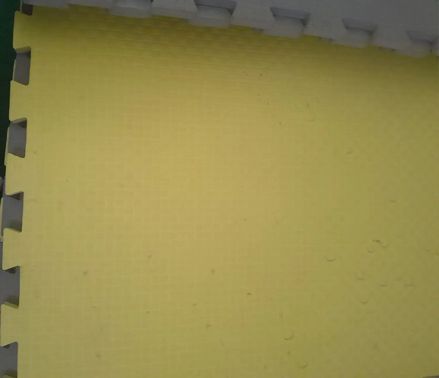 تاتامی فدارسیونی|تجهیزات ورزشی|پردیس, فاز ۴|دیوار