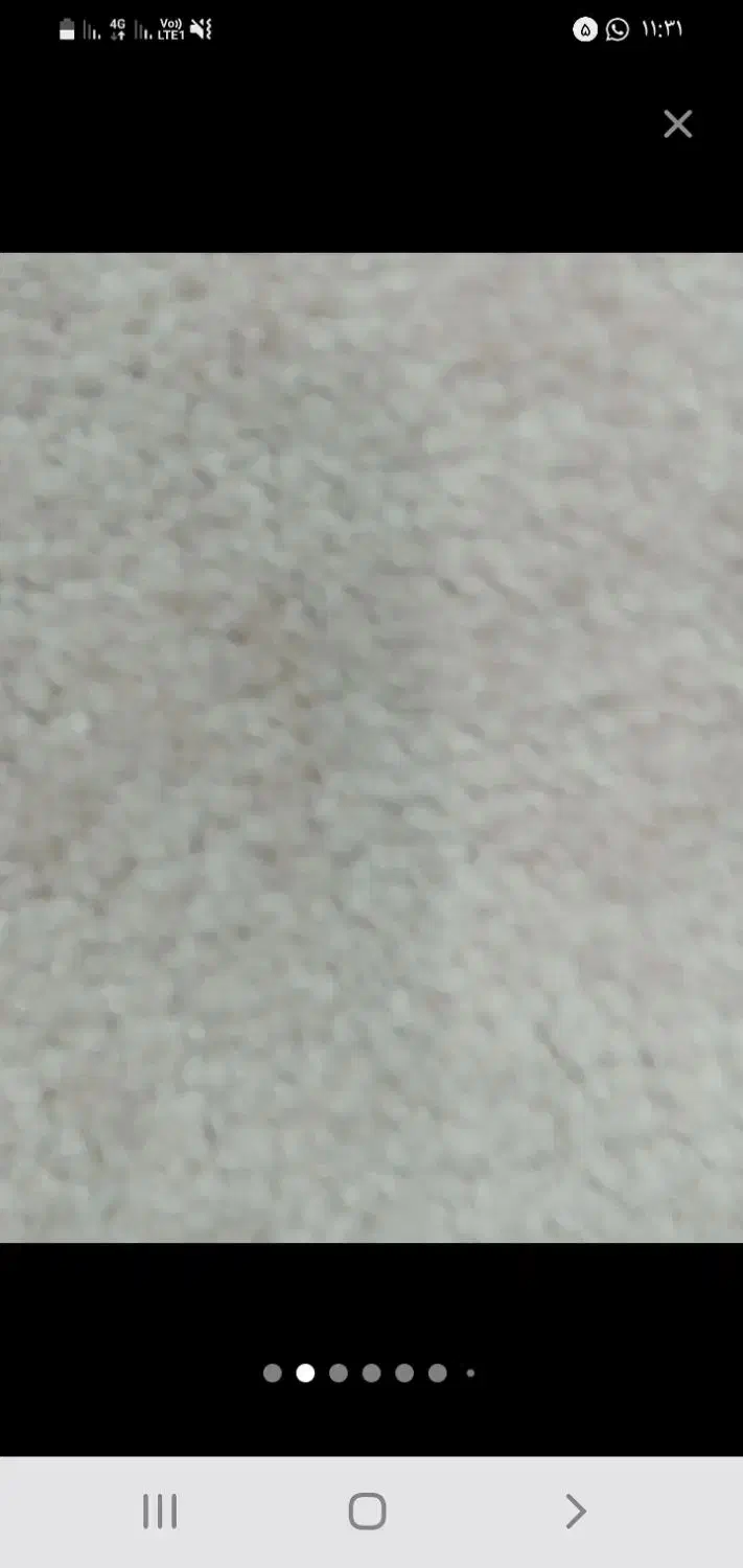 پالاز موکت ۱۲ متری|موکت|دزفول, |دیوار