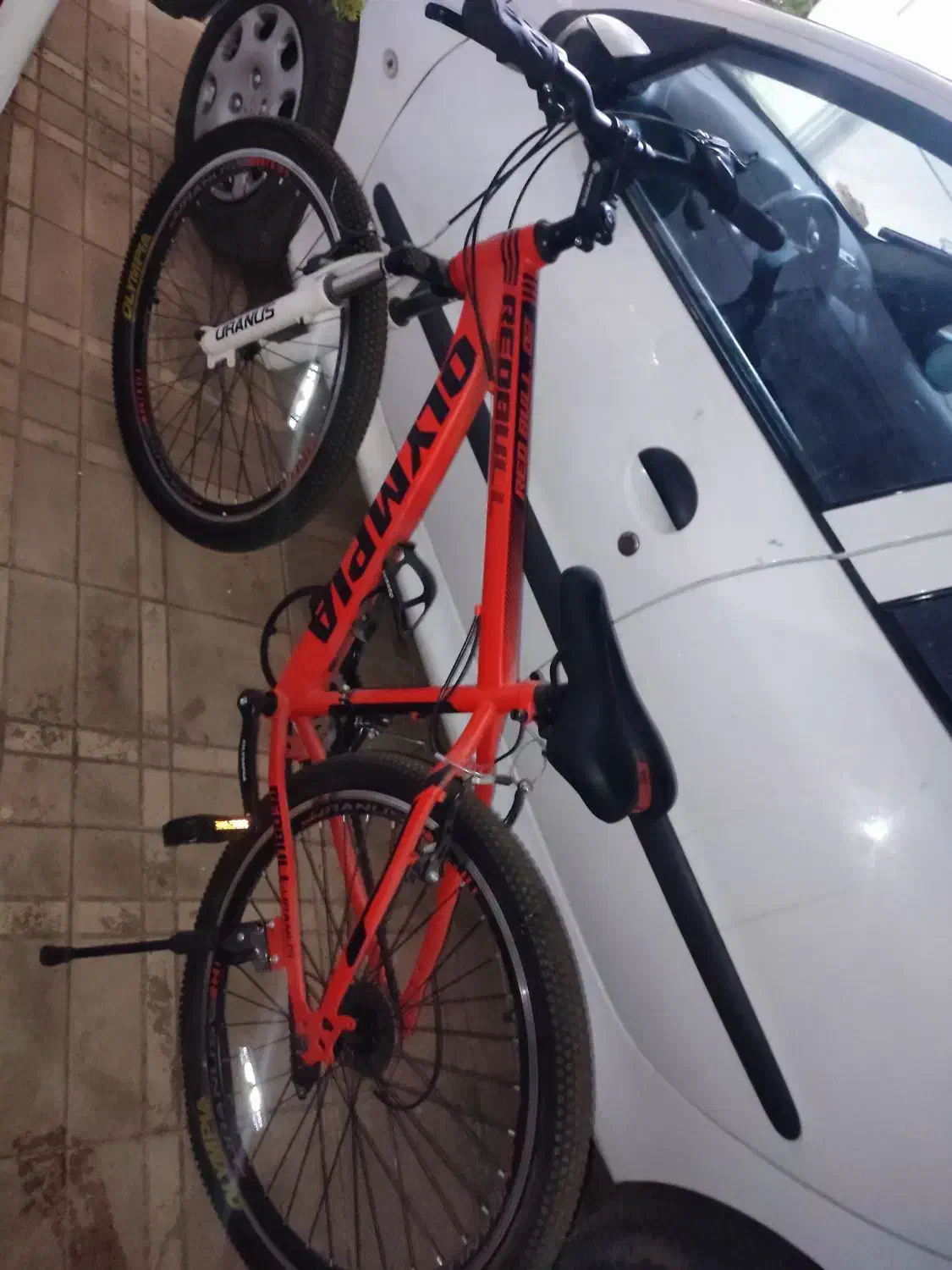 دوچرخه|دوچرخه، اسکیت، اسکوتر|تربت جام, باغ سنگان سفلی|دیوار