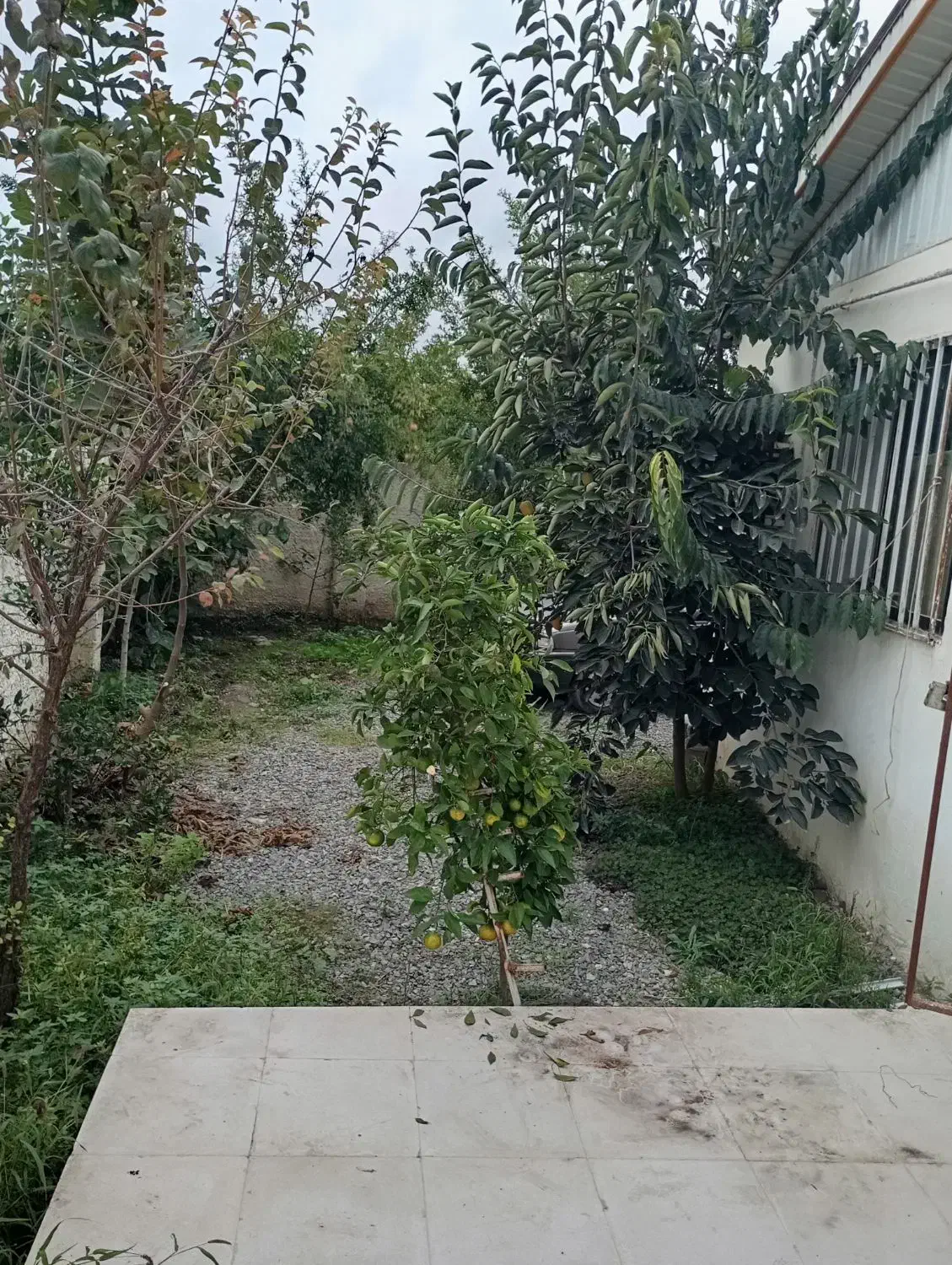 ویلا به قیمت شهر دابودشت|فروش خانه و ویلا|دابودشت, |دیوار