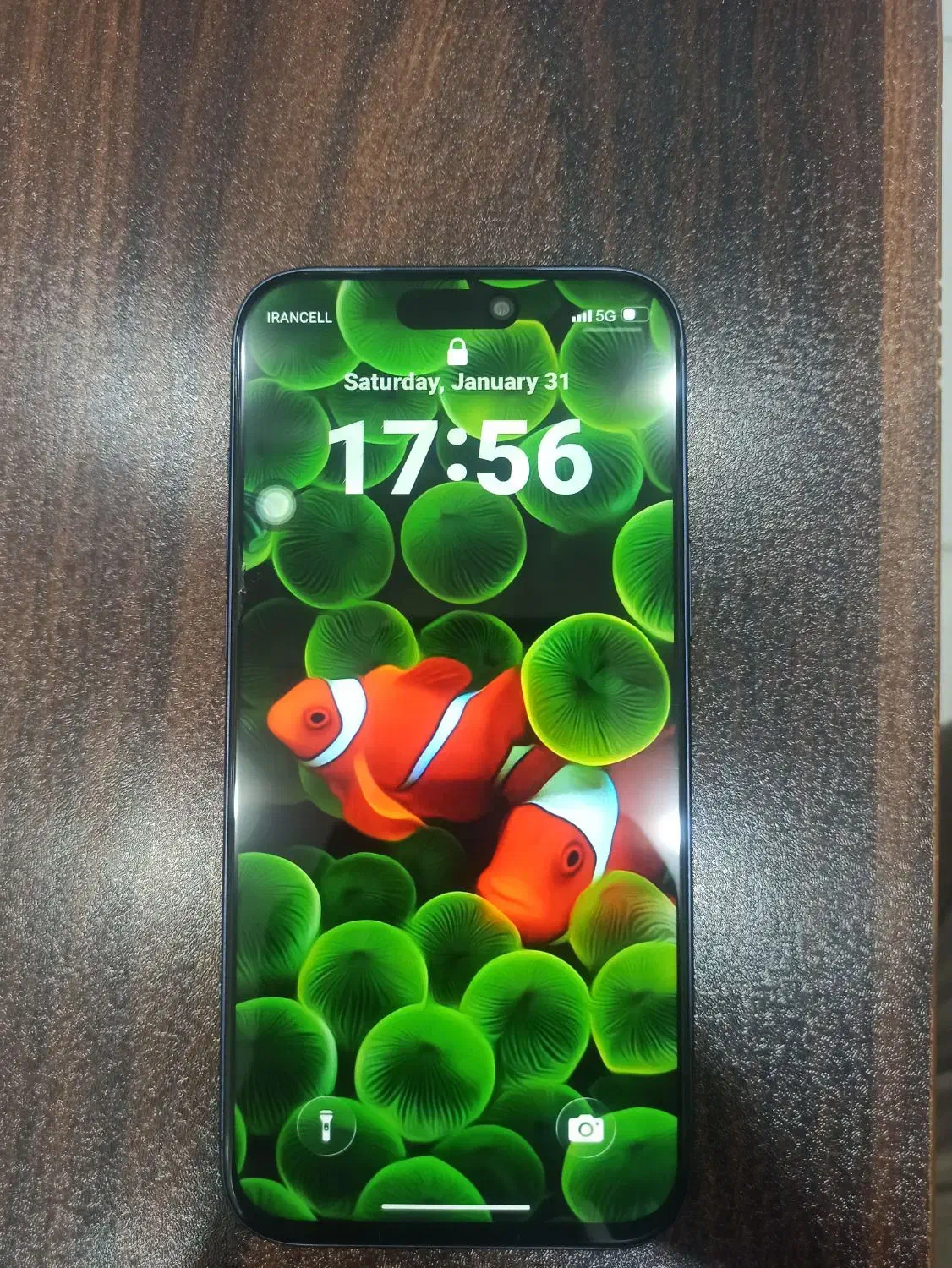 iPhone 17 promax طرح اصلی|موبایل|بندر گناوه, |دیوار