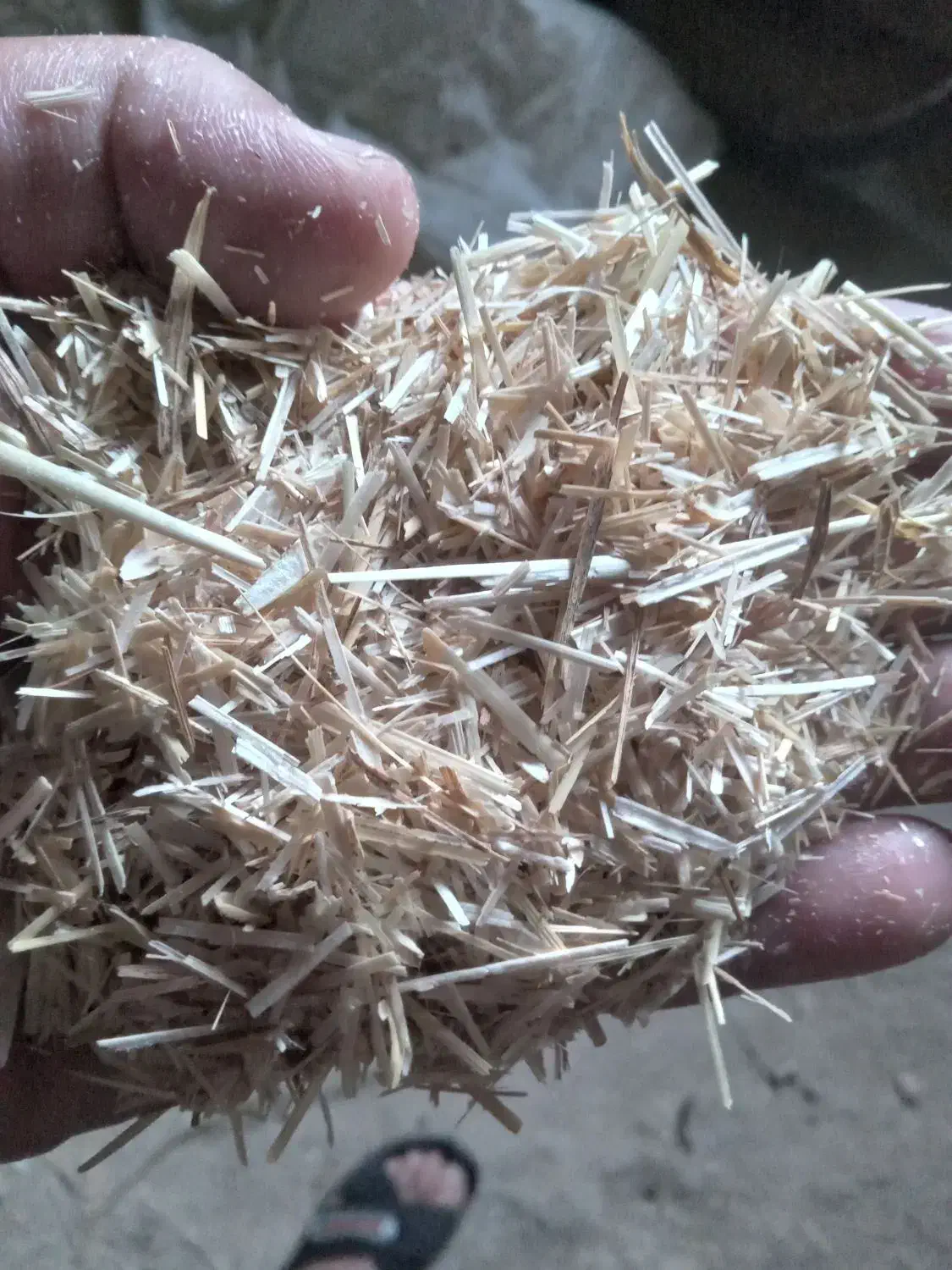 ۶۰ گونی کاه گندم|حیوانات مزرعه|کوهدشت, |دیوار