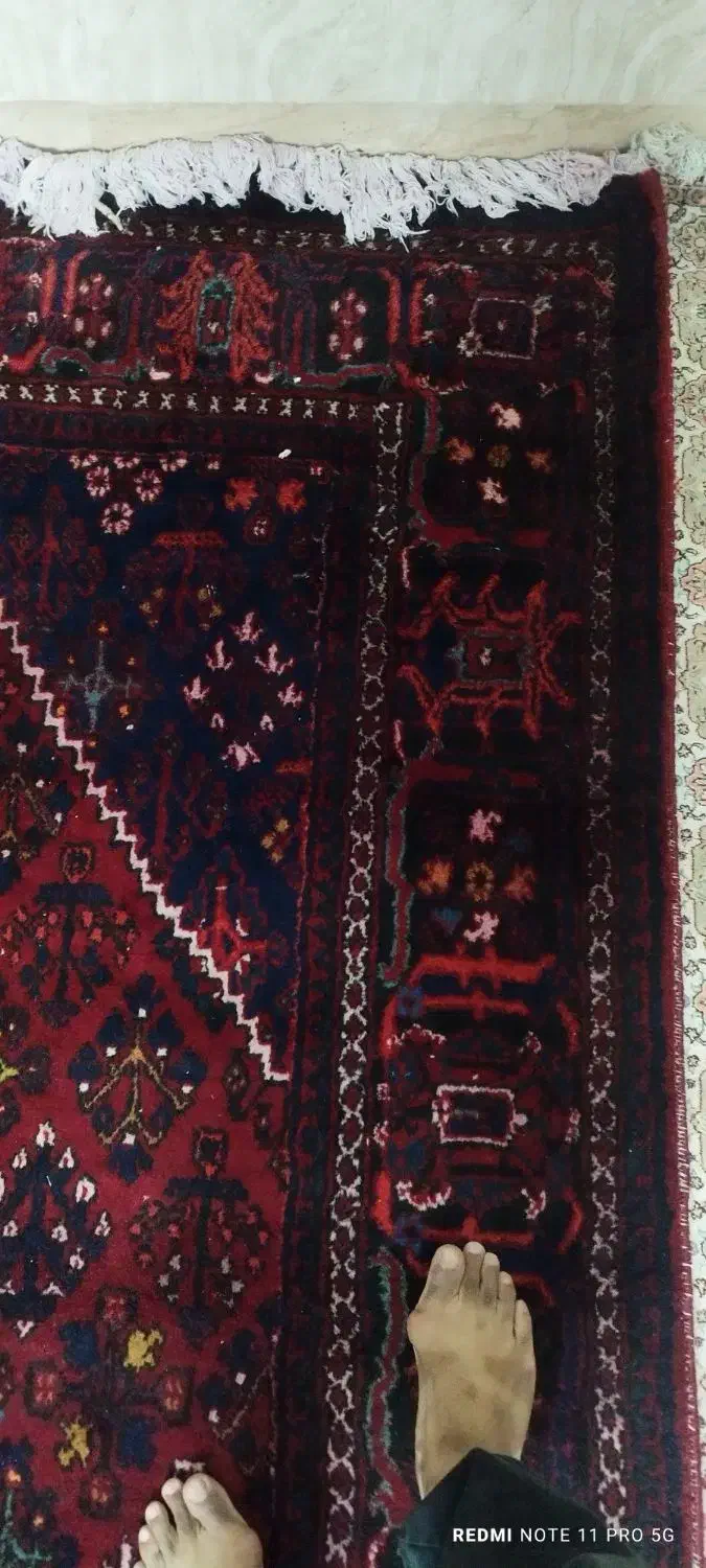 فرش جوشقان کاشان|فرش|قم, شهر قائم|دیوار