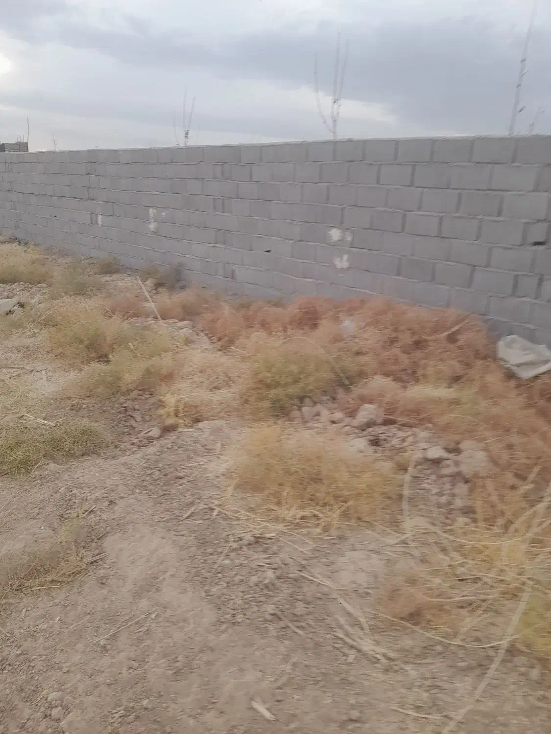 زمین باغ شهری|فروش زمین و ملک کلنگی|مرودشت, محمد آباد|دیوار