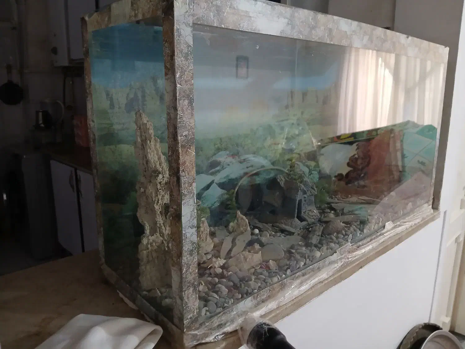 اکواریوم تمیزمرتب سالم بفروشدمیرسد|ماهی|مشهد, امیر المومنین|دیوار