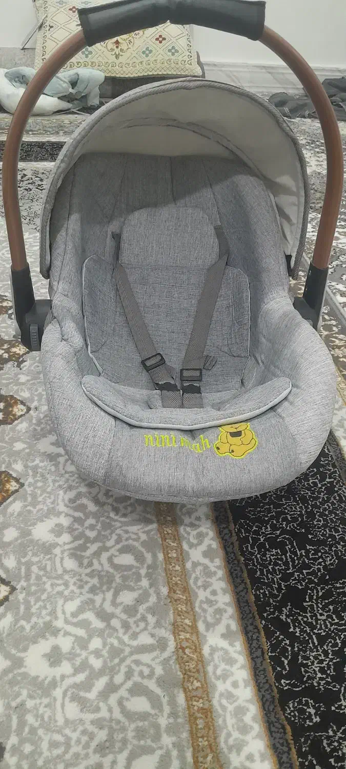 کریر|کالسکه و لوازم جانبی|بیرانوند, |دیوار