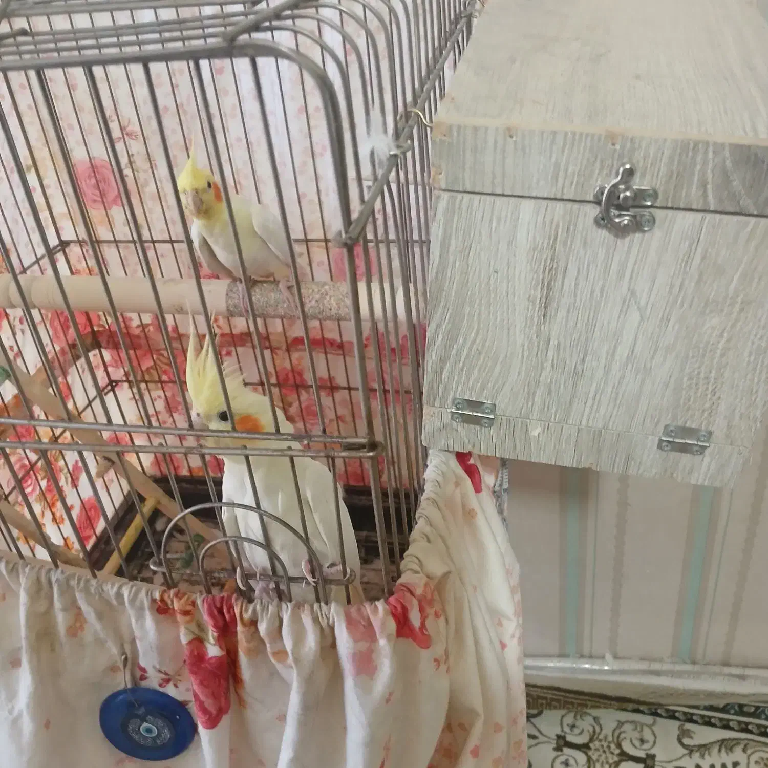 باسلام یجفت عروس مولدبه شرط سالم|پرنده|قرچک, شهرک مهستان|دیوار