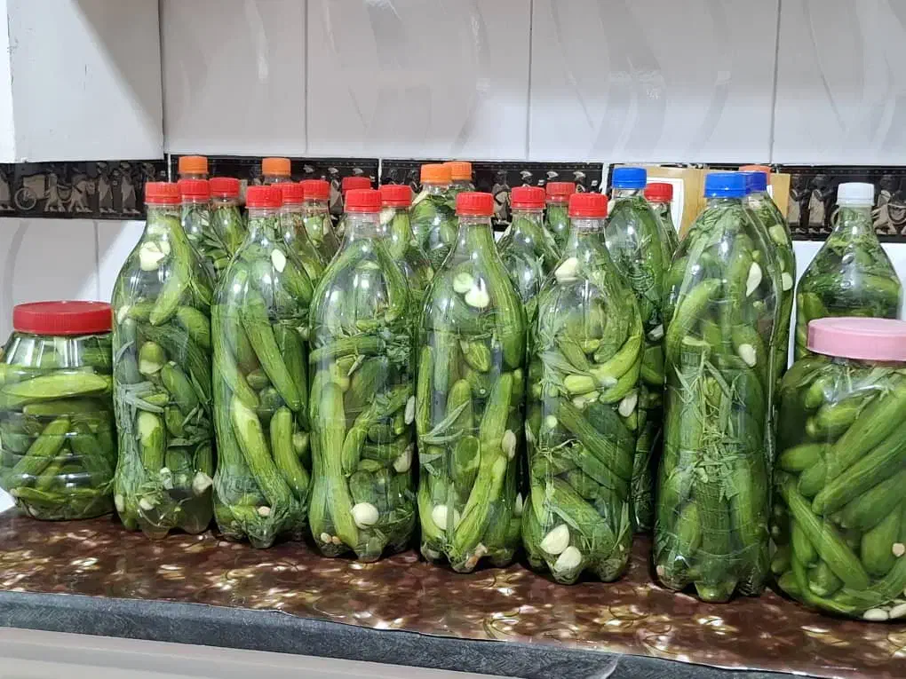 فروش خیارشور خانگی با خیارمحلی ترد و خوشمزه|خوردنی و آشامیدنی|کوه چنار, |دیوار