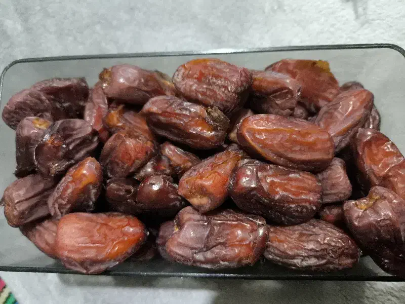 خرمای مجول|خوردنی و آشامیدنی|بوشهر, |دیوار