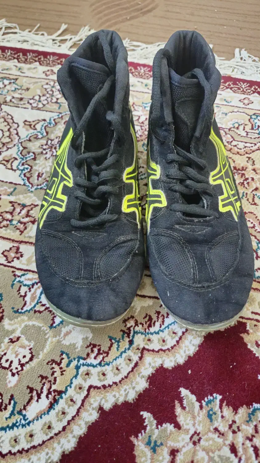 کفش کشتی|تجهیزات ورزشی|زیرکوه, |دیوار