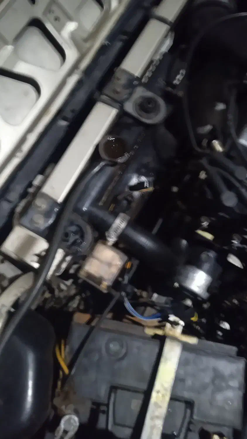 نیو پیکی بیمه معاینه تعویض پلاک|خودرو سواری و وانت|مشهد, رده|دیوار