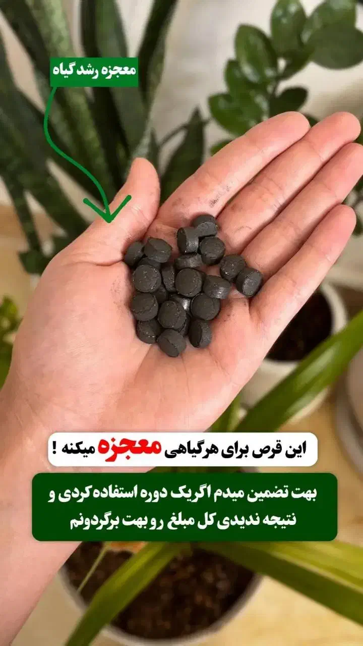 محصولات نانو|مواد شوینده و دستمال کاغذی|سردشت, |دیوار