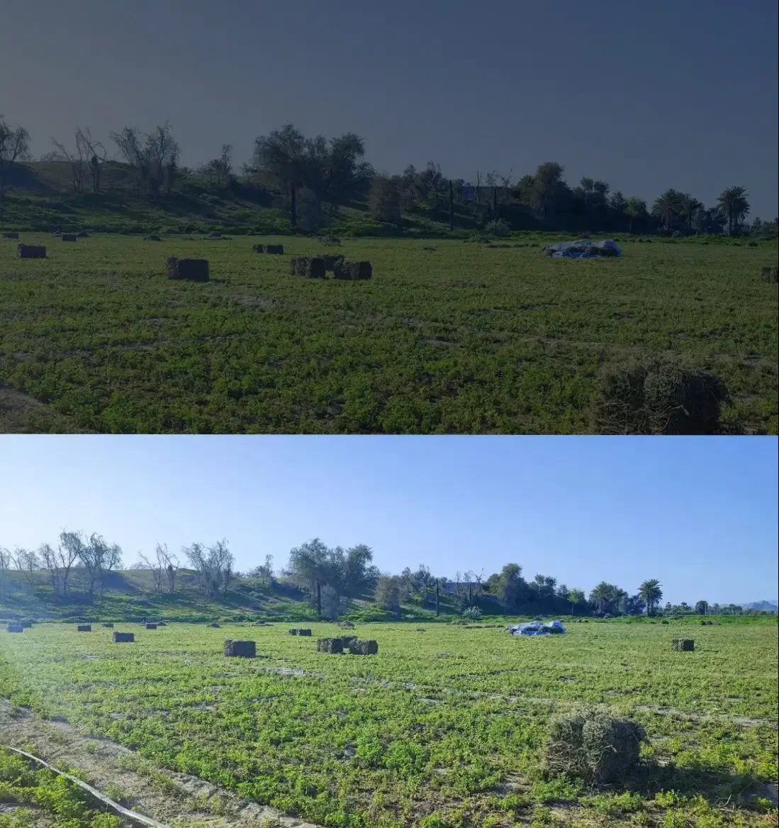 پرسه یونجه|خدمات باغبانی و درختکاری|رودخانه, |دیوار