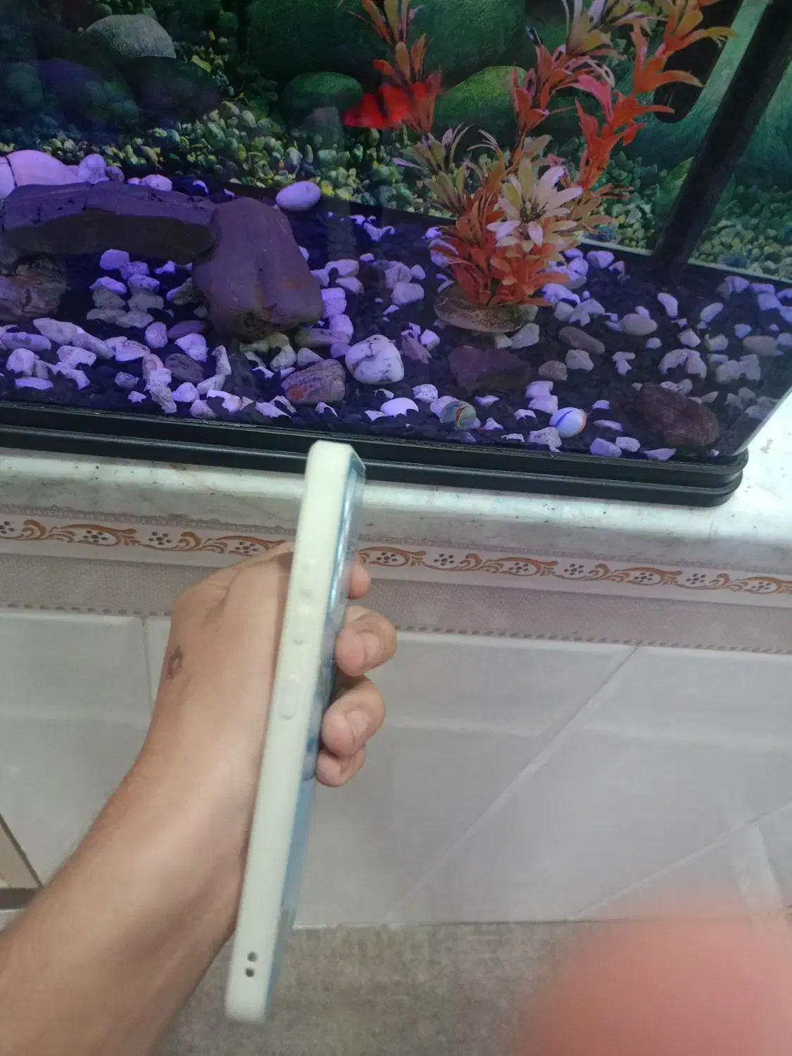 قاب نونو a32   4gاستفاده نشده|لوازم جانبی موبایل و تبلت|الوند, |دیوار