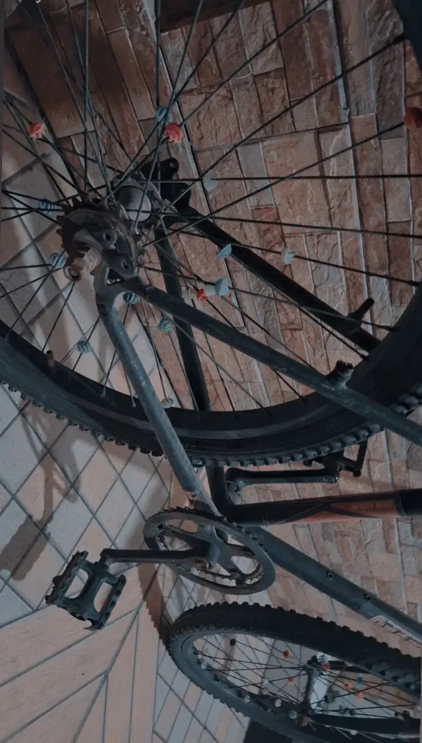 دوچرخه 24|دوچرخه، اسکیت، اسکوتر|اندیمشک, |دیوار