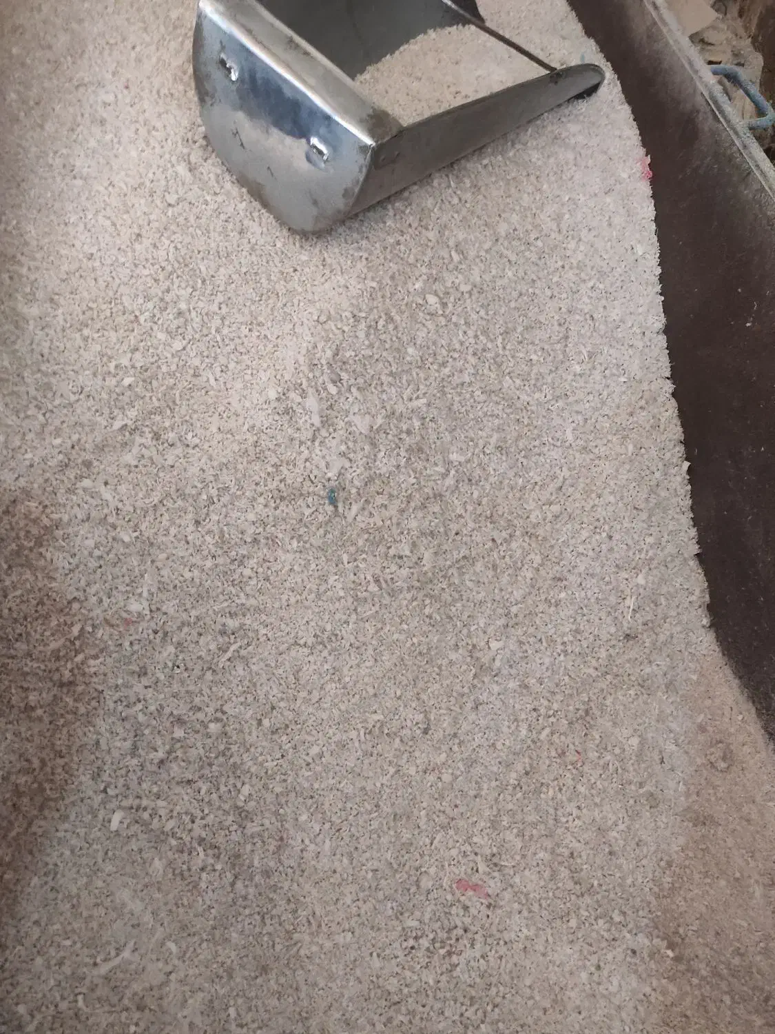 نیرو پا دستگاه کندر نایلون|استخدام صنعتی، فنی، مهندسی|قم, مهدی آباد|دیوار