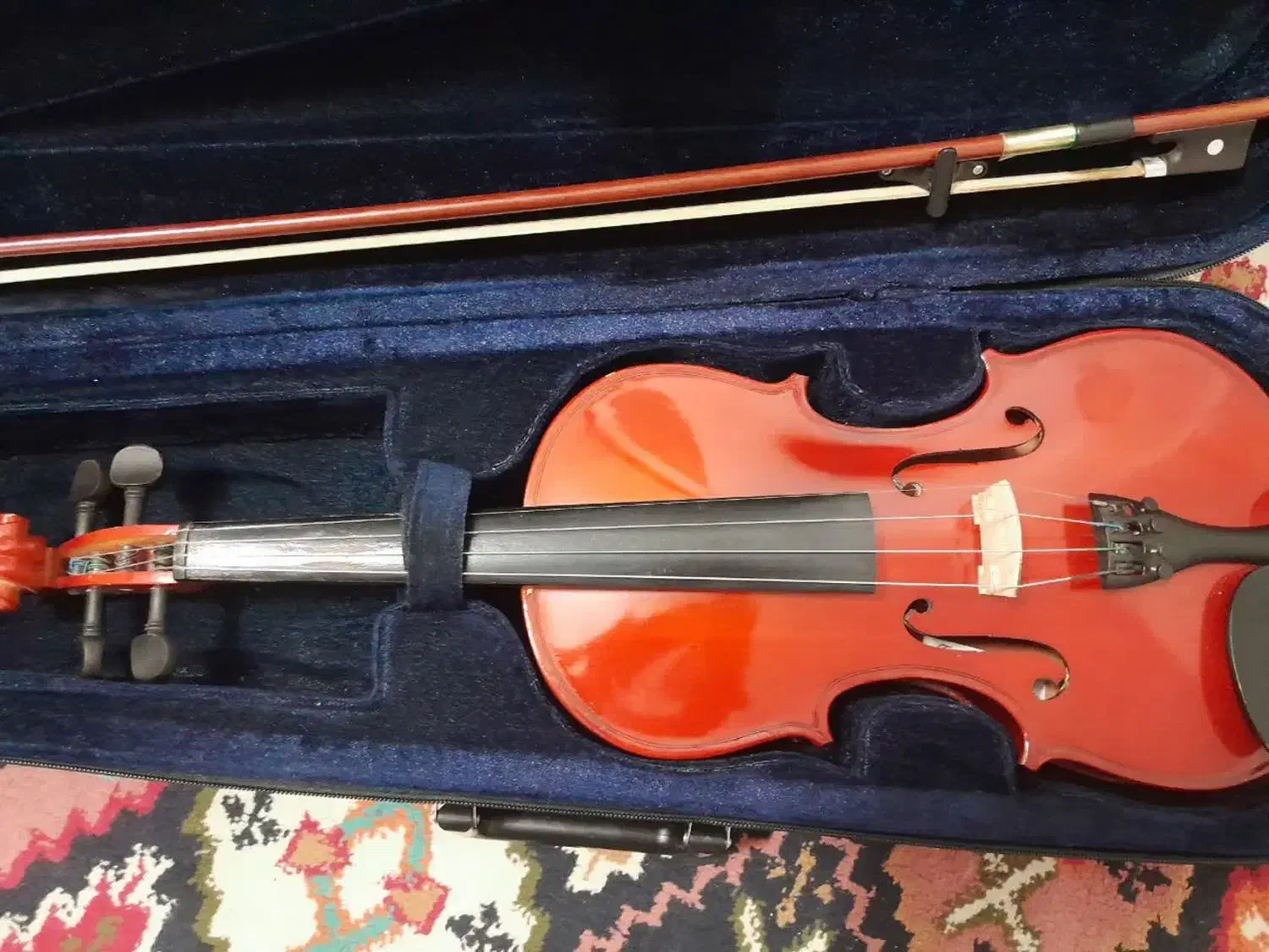 ویولون|ویولن|کرمان, |دیوار