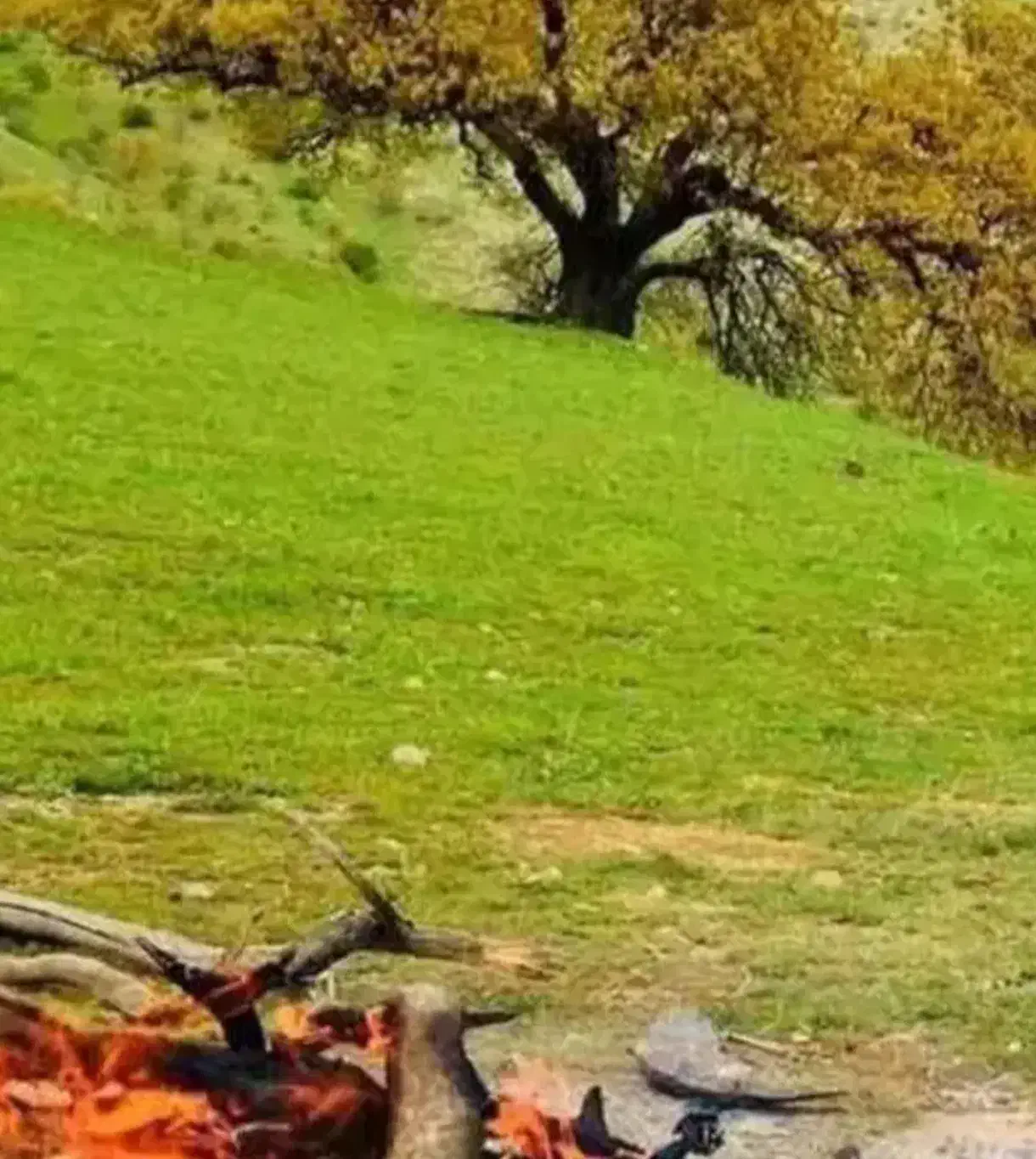 سفر و گردش|تور و چارتر|سنندج, |دیوار