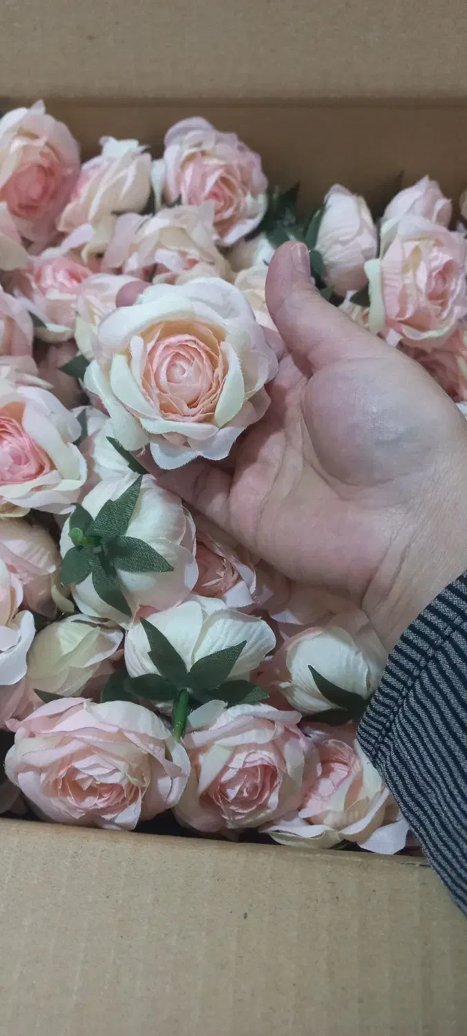 کاردرمنزل|استخدام هنری و رسانه|صفادشت, |دیوار