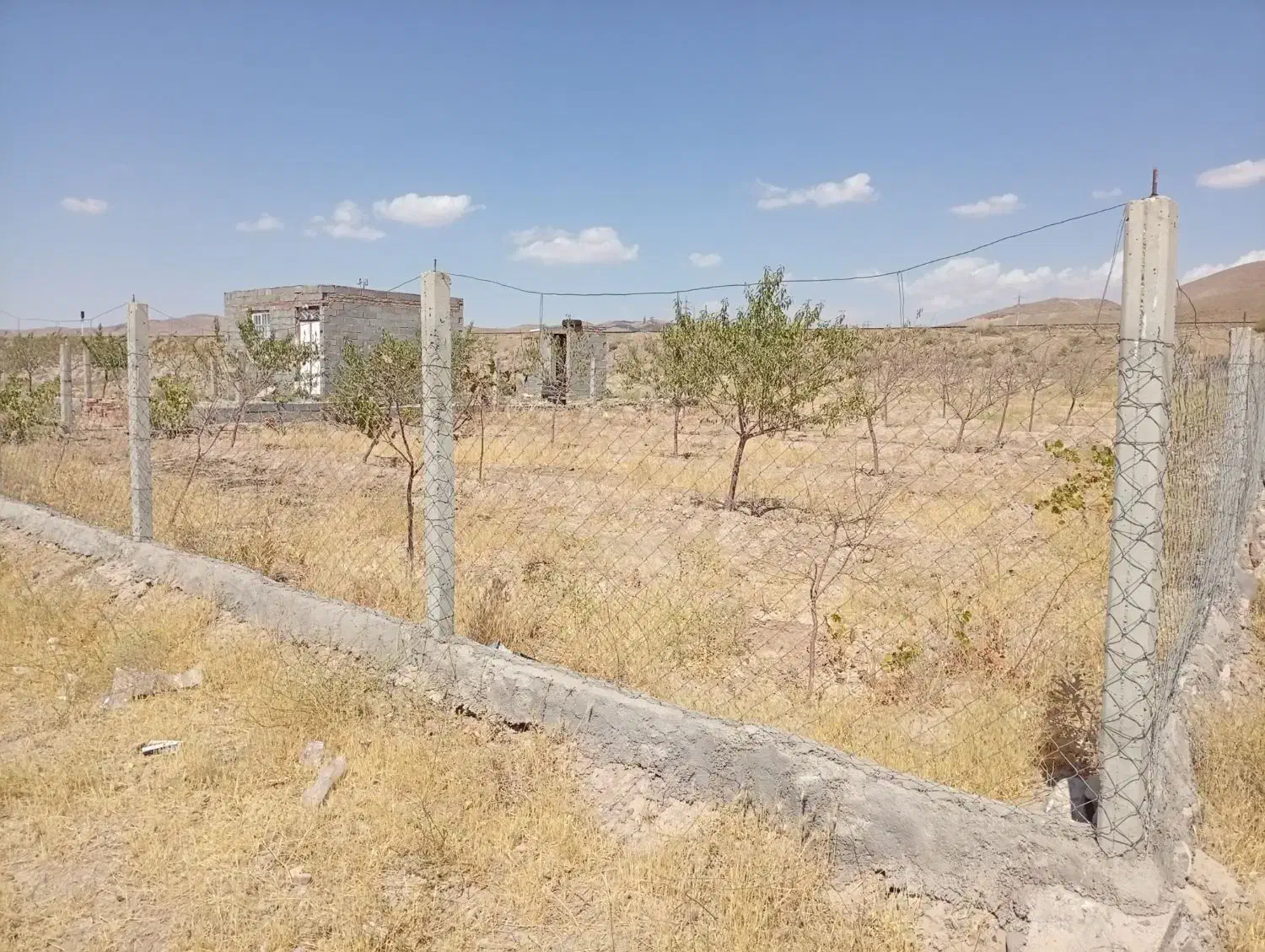 باغ به متراژ 12من|فروش دفتر صنعتی، کشاورزی، تجاری|بناب, |دیوار