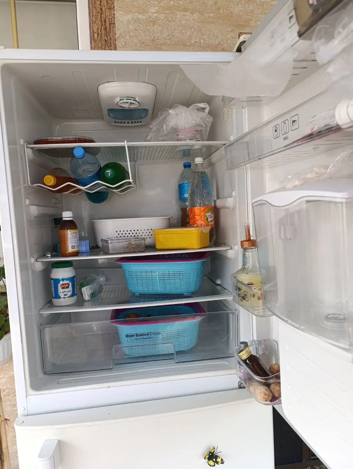 یخچال خانگی|یخچال و فریزر|آستانه اشرفیه, |دیوار