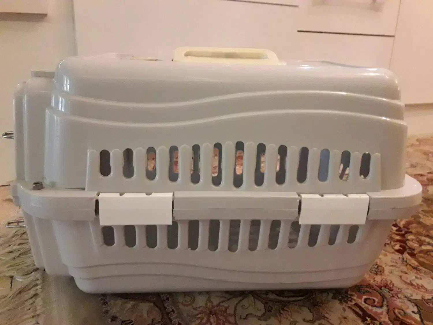 باکس حمل گربه و سگ|لوازم جانبی حیوانات|تهران, قیطریه|دیوار