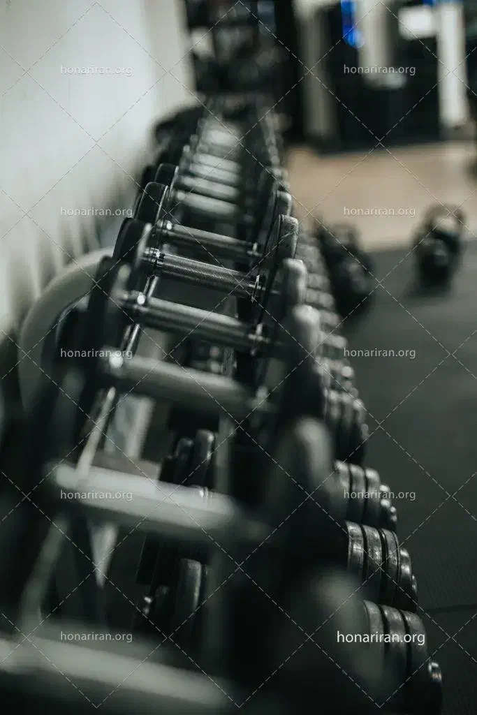 باشگاه نفس|خدمات آموزشی|بیرجند, |دیوار