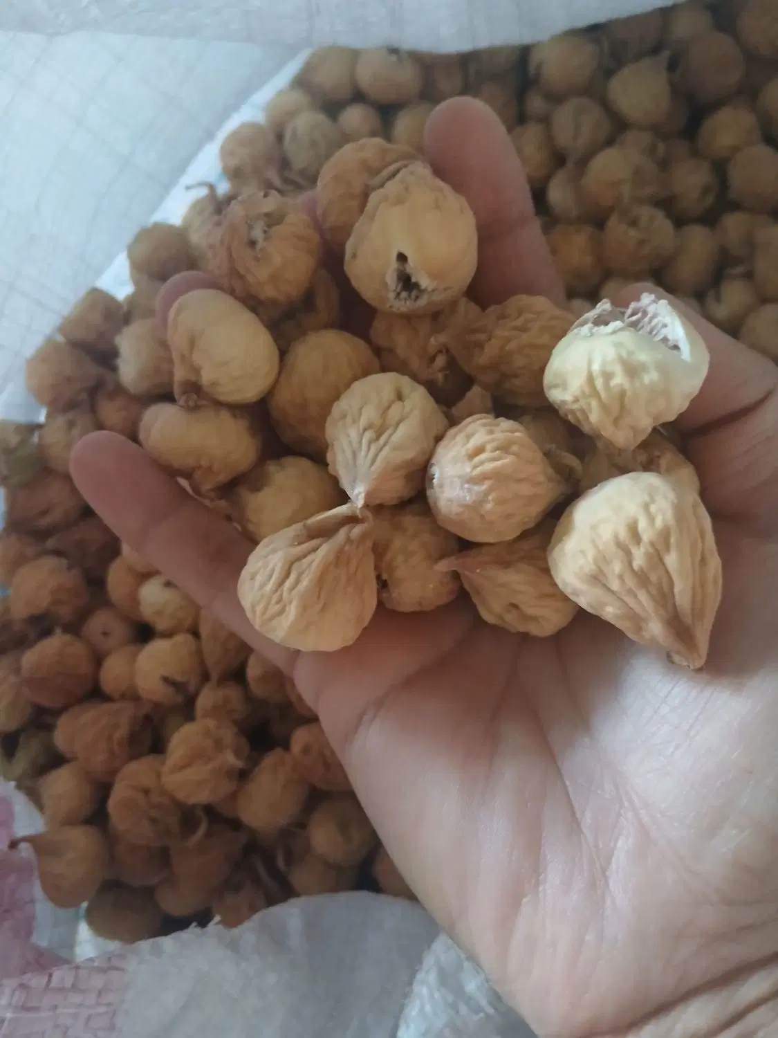 انجیر استهبان|خوردنی و آشامیدنی|شیراز, فرگاز|دیوار
