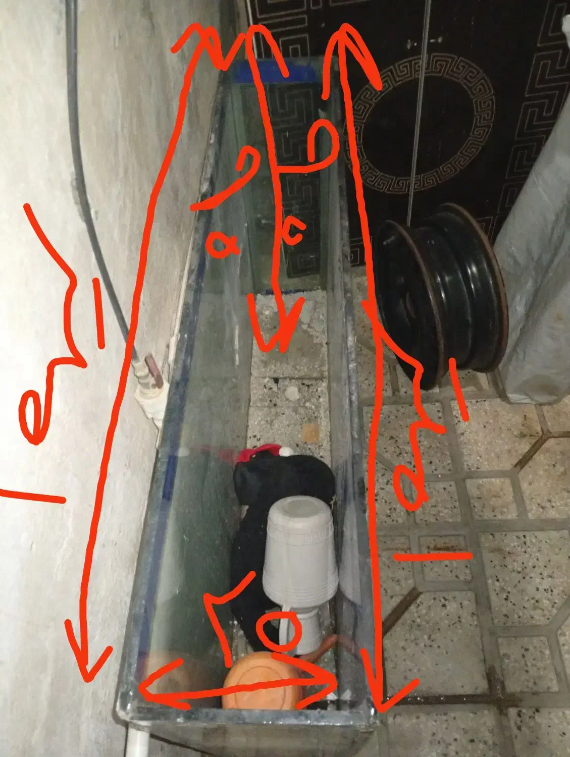 آکواریوم بالوازماش|ماهی|پاکدشت, پاکدشت (مامازند)|دیوار