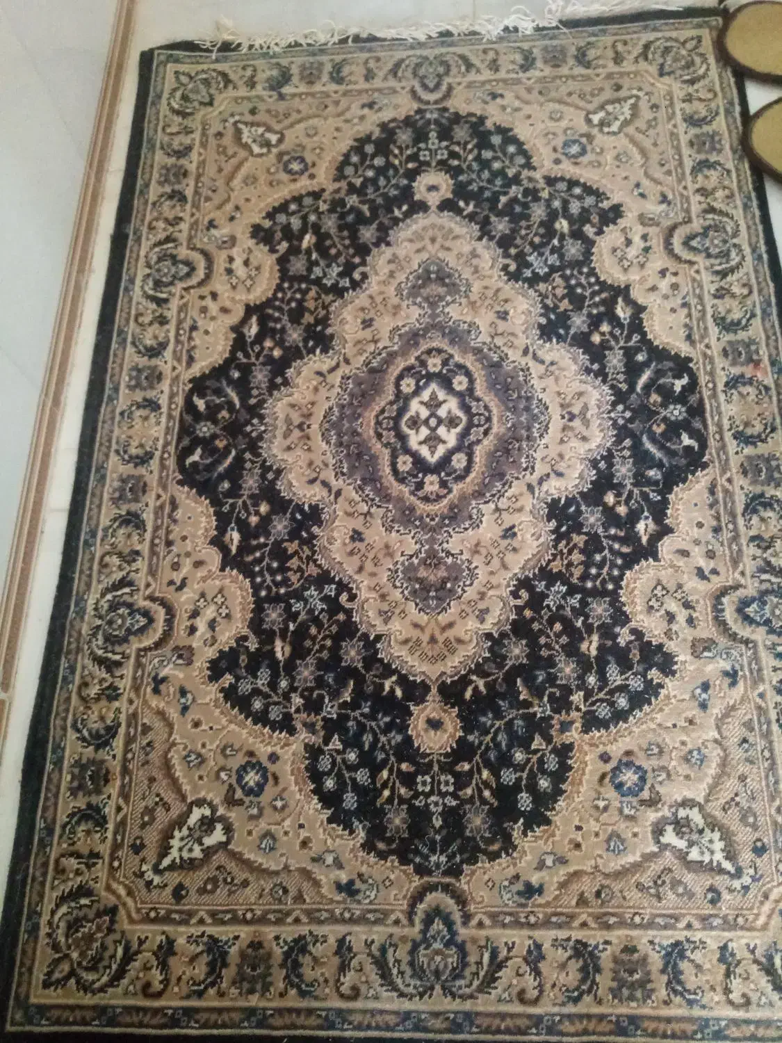 پادری همه باهم یک تومن|پادری|بیرجند, |دیوار