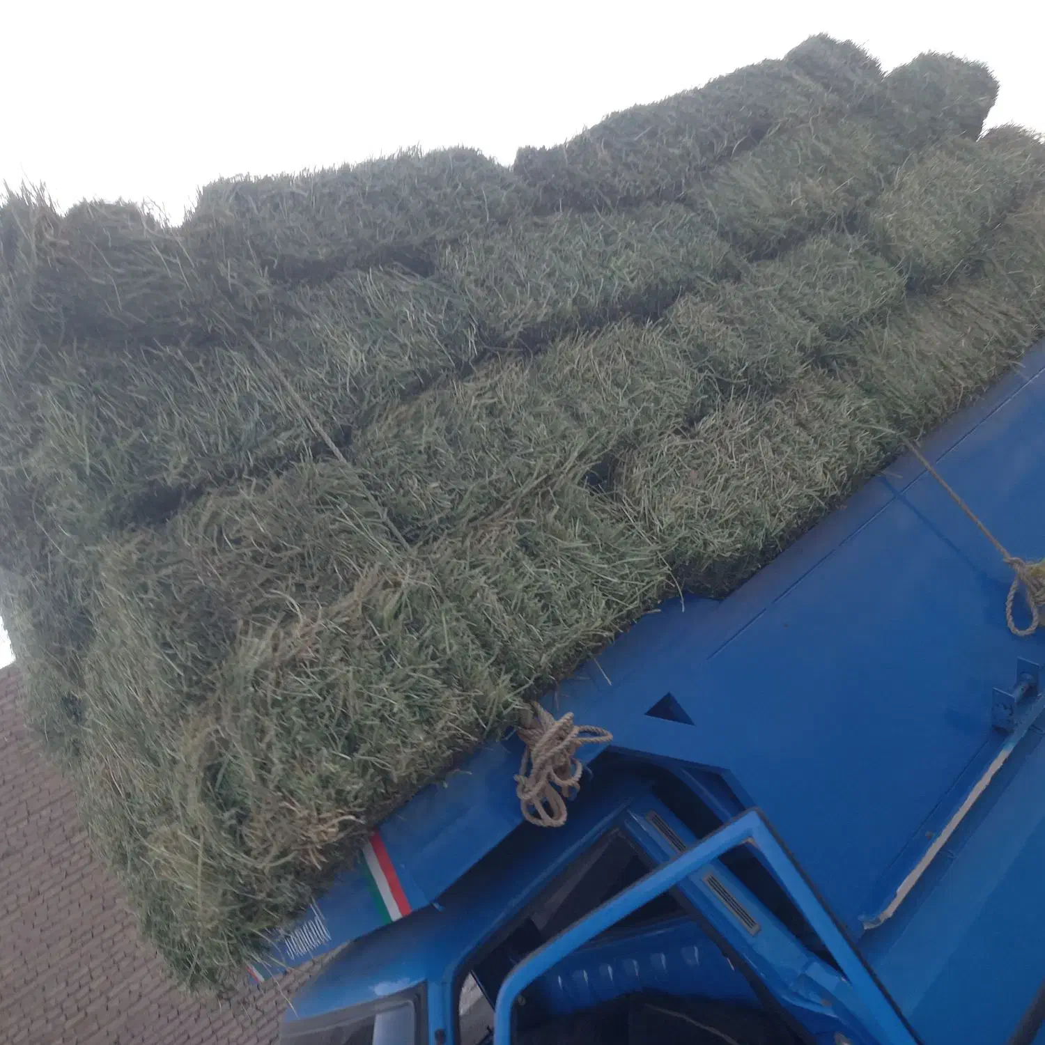 یونجه انباری|خدمات باغبانی و درختکاری|سبزوار, قلعهنو دهزار|دیوار