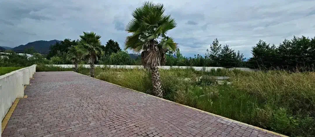 نشتارودزمین شهرکی280متر.باتمامی امتیازات.اقساطی|فروش زمین و ملک کلنگی|نشتارود, |دیوار