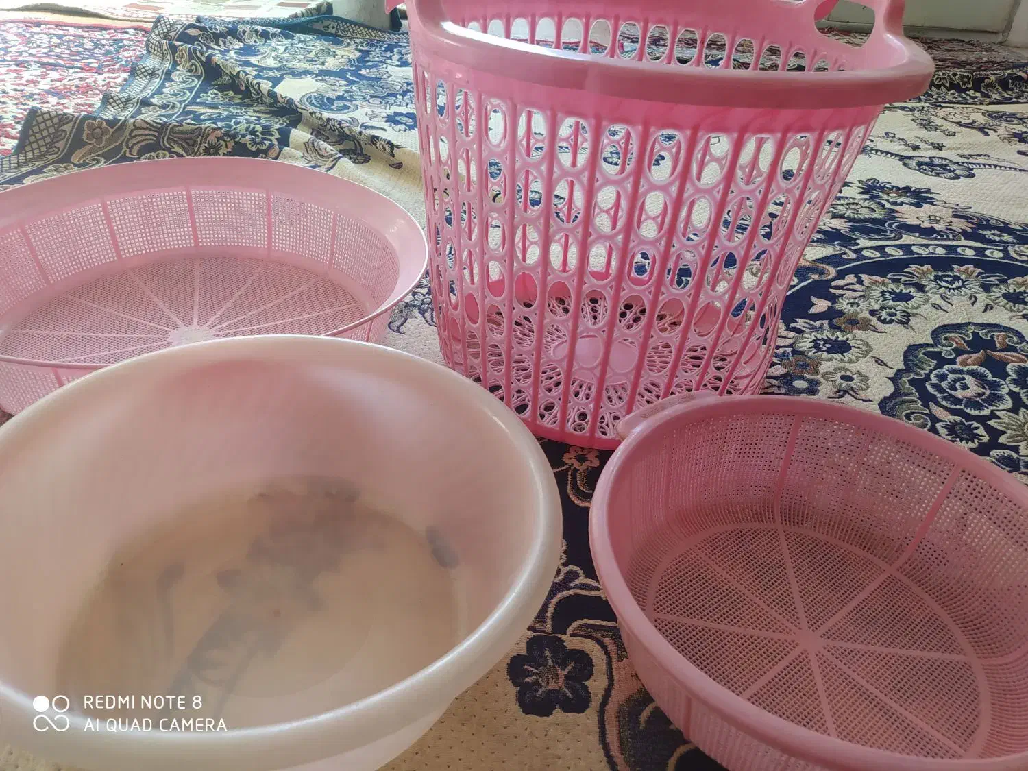 ابکش و سبد ولگن|ظروف نگهدارنده، پلاستیکی، یکبارمصرف|قم, شاه ابراهیم|دیوار