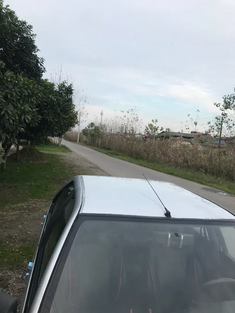 پژو 405 دوگانه کارخانه|خودرو سواری و وانت|لنگرود, |دیوار