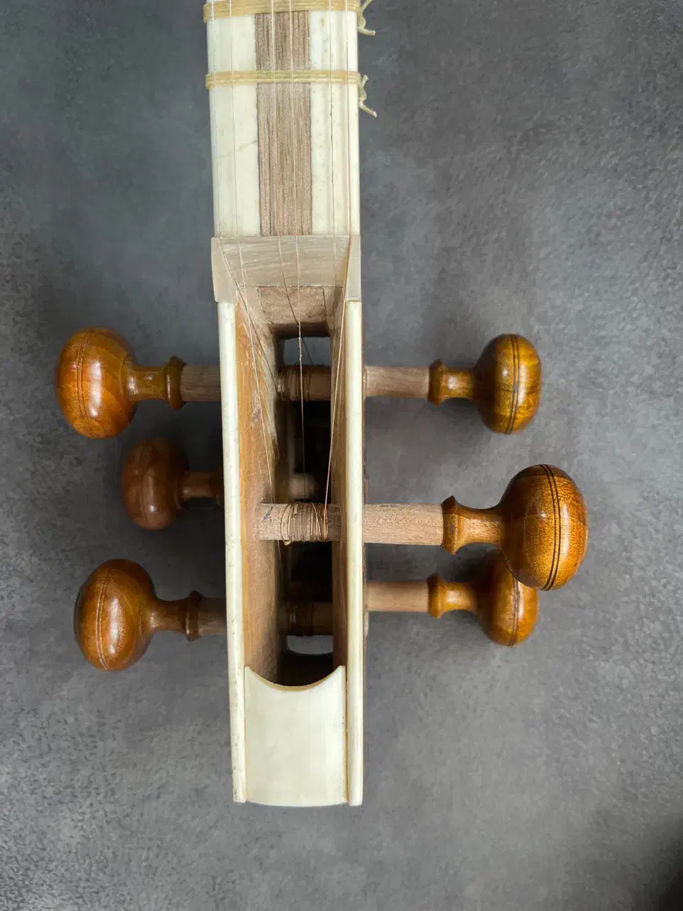 تار|سازهای سنتی|اصفهان, تیران|دیوار