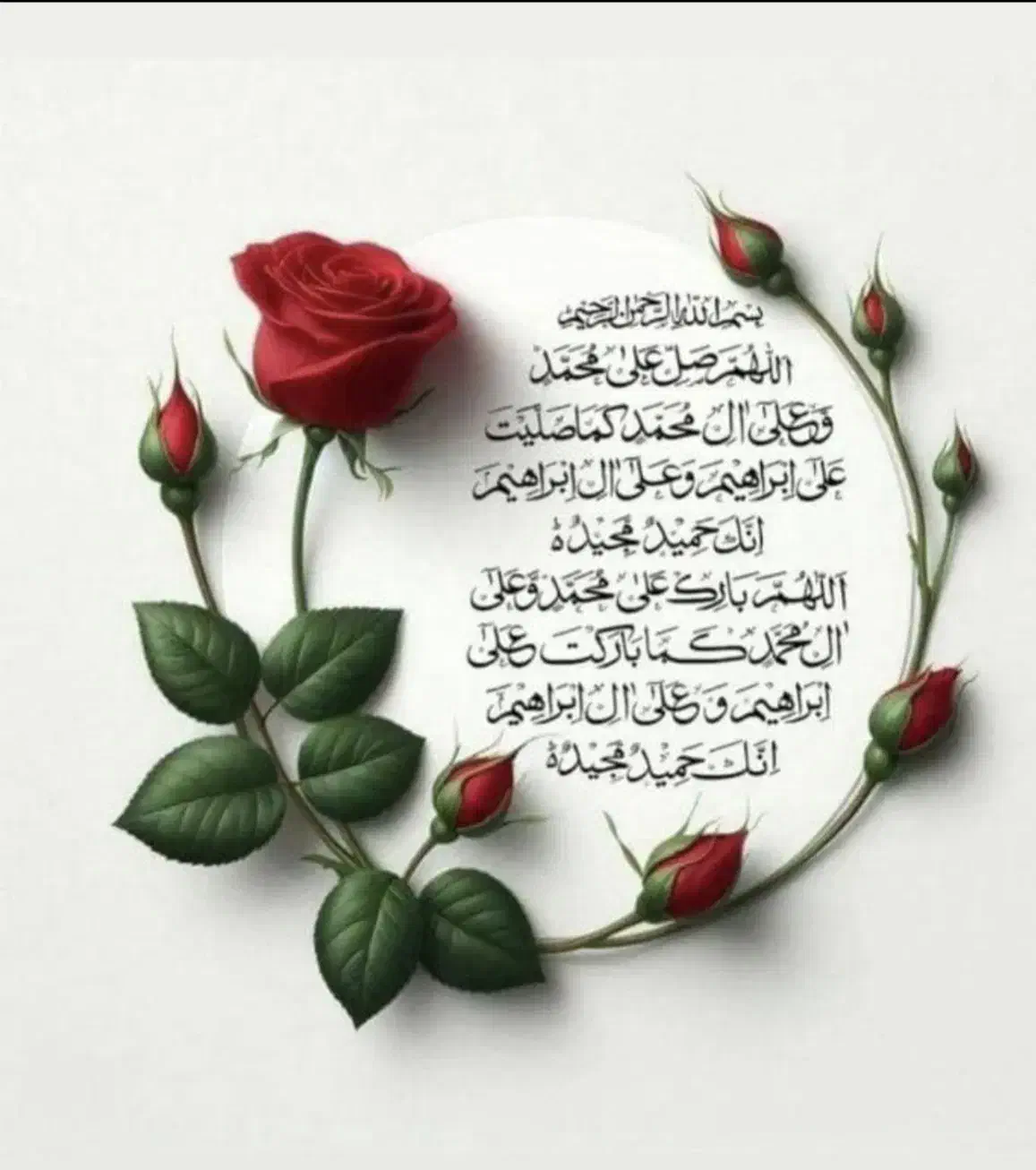 کاپشن|لباس|سیرجان, |دیوار