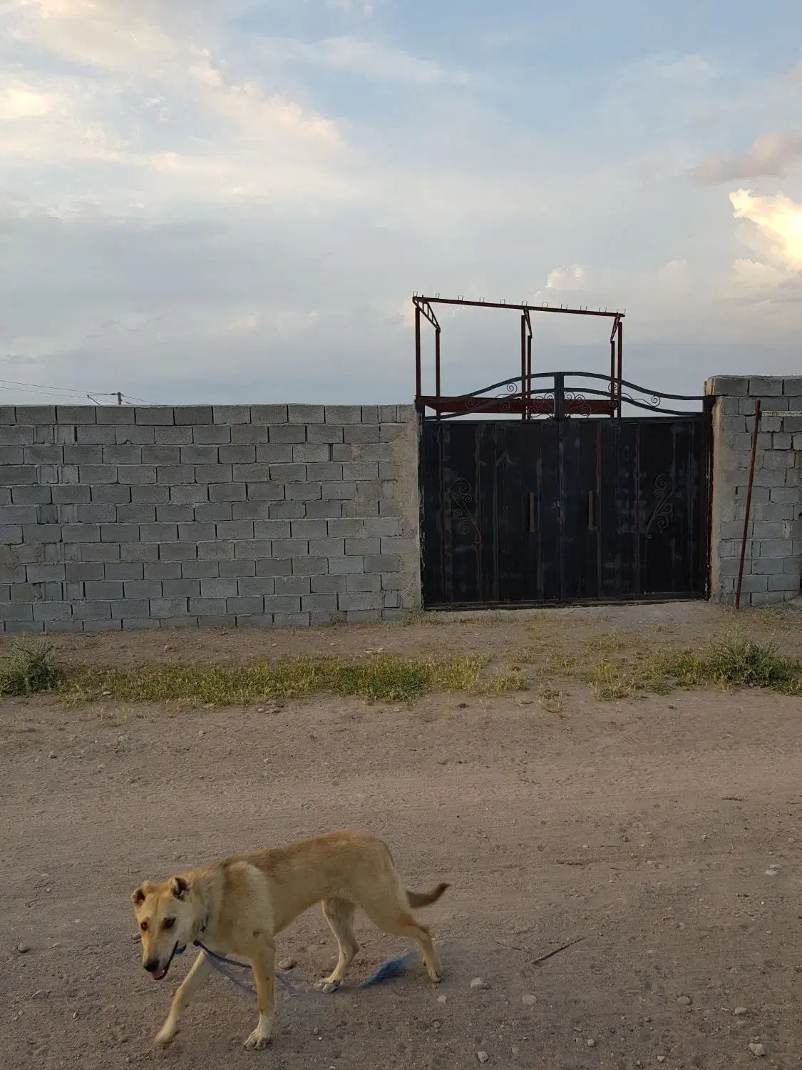 فروش باغ ۵۰۰متری|فروش زمین و ملک کلنگی|ایلخچی, |دیوار