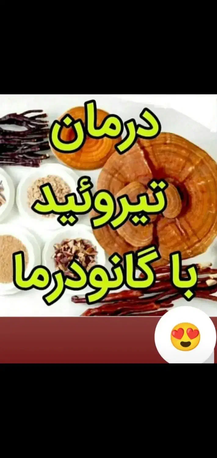 پک گانودرما ،ستین،دکتر بیز|آرایشی، بهداشتی، درمانی|بابل, |دیوار