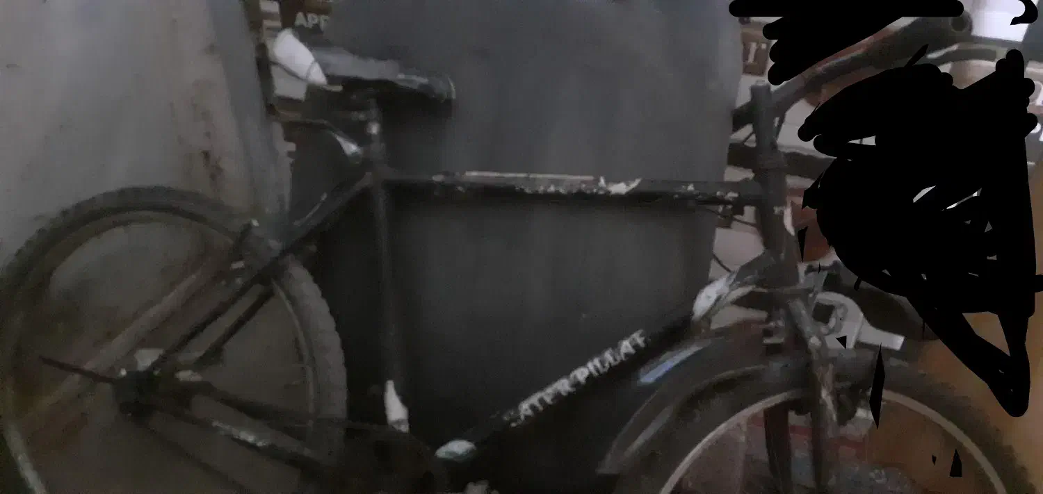 دو چرخه دماوند ۲۶گم شده یابنده مژدگانی داده می|دوچرخه، اسکیت، اسکوتر|تربت جام, معدآباد|دیوار