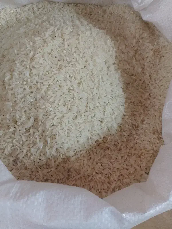 عرضه مستقیم برنج شمال|خوردنی و آشامیدنی|مراغه, |دیوار