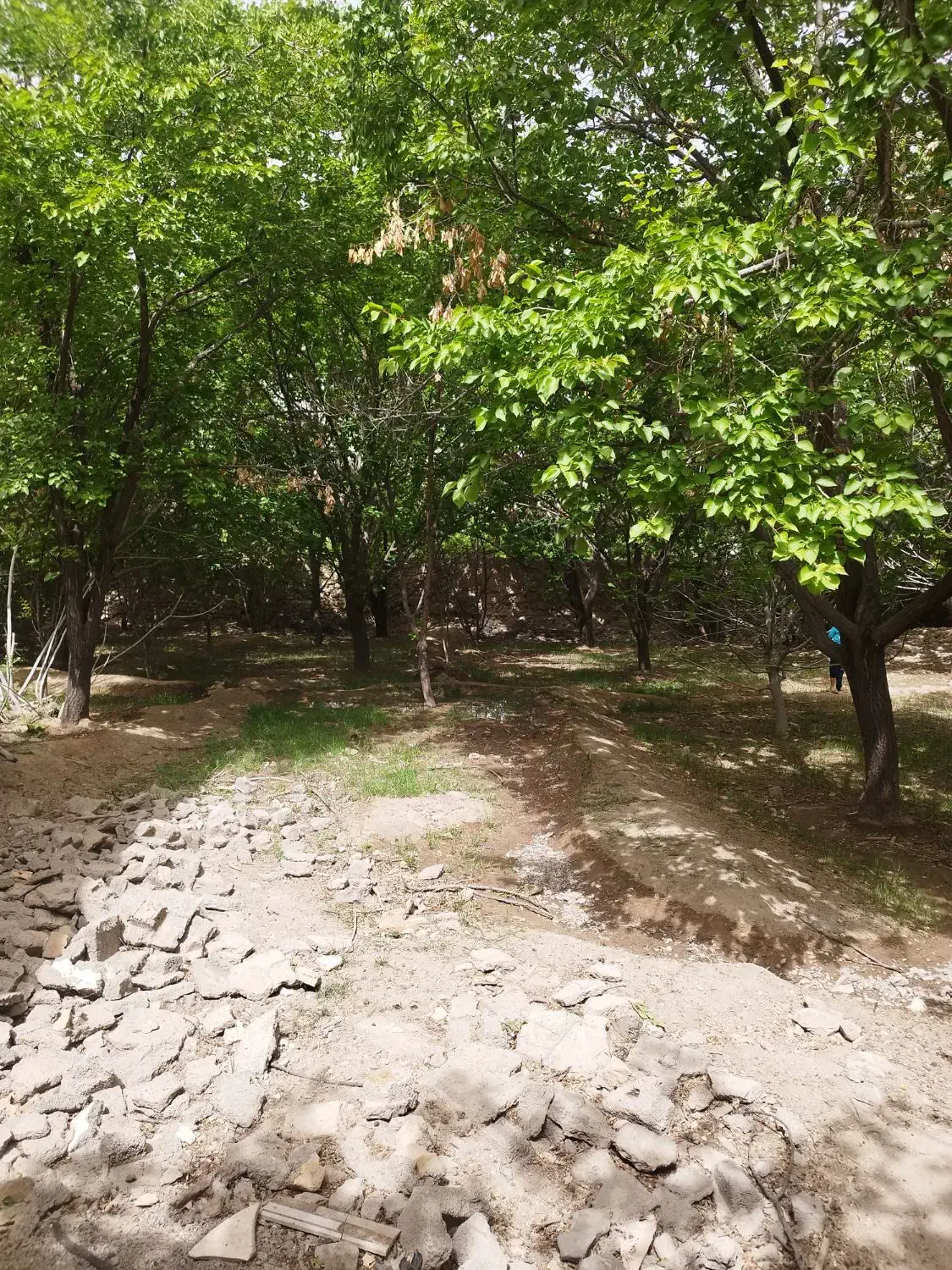 خانه باغ به فروش میرسد|فروش خانه و ویلا|گلباف, |دیوار