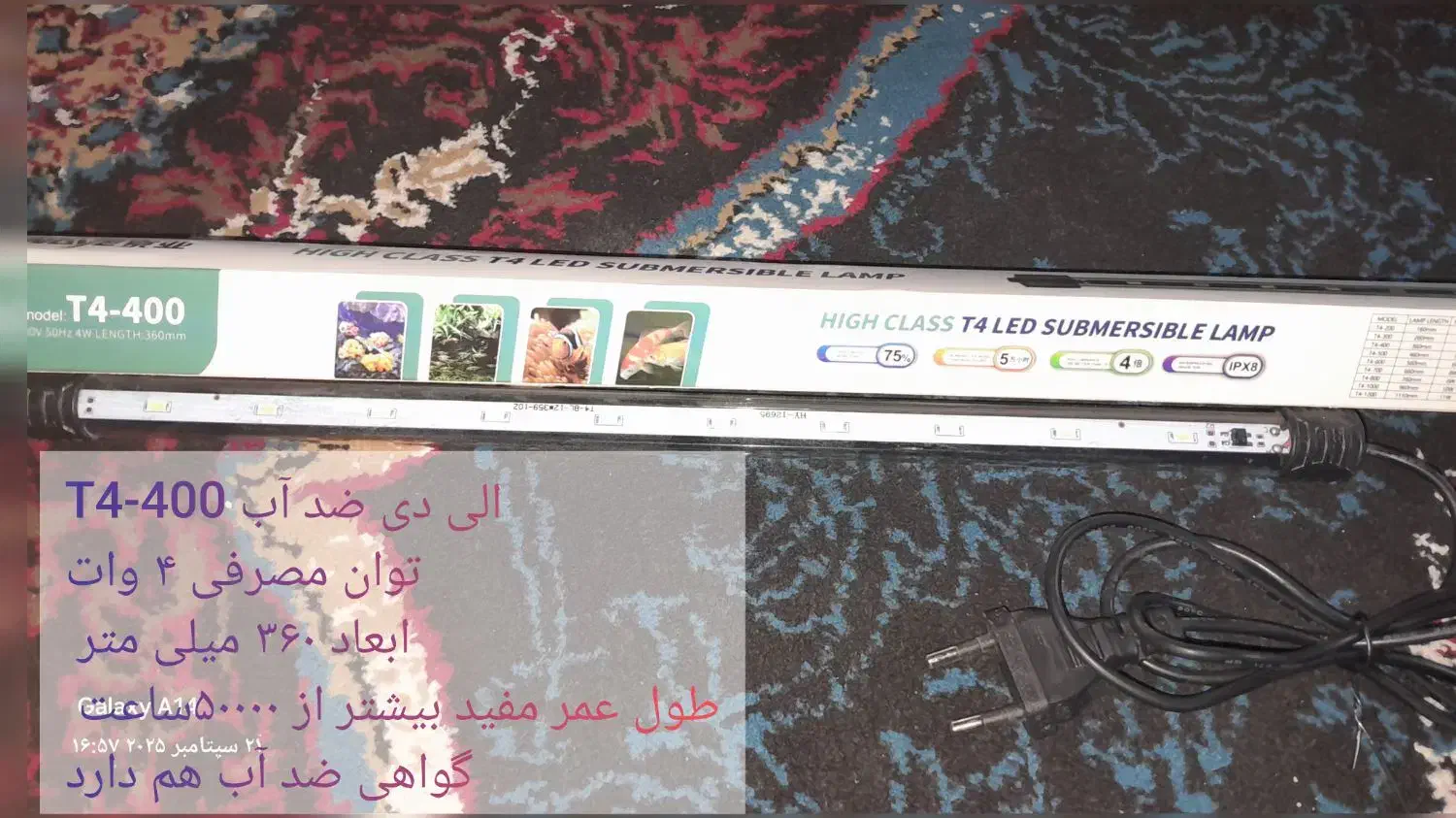 الی دی ضد آب|ماهی|قم, شاه سید علی|دیوار