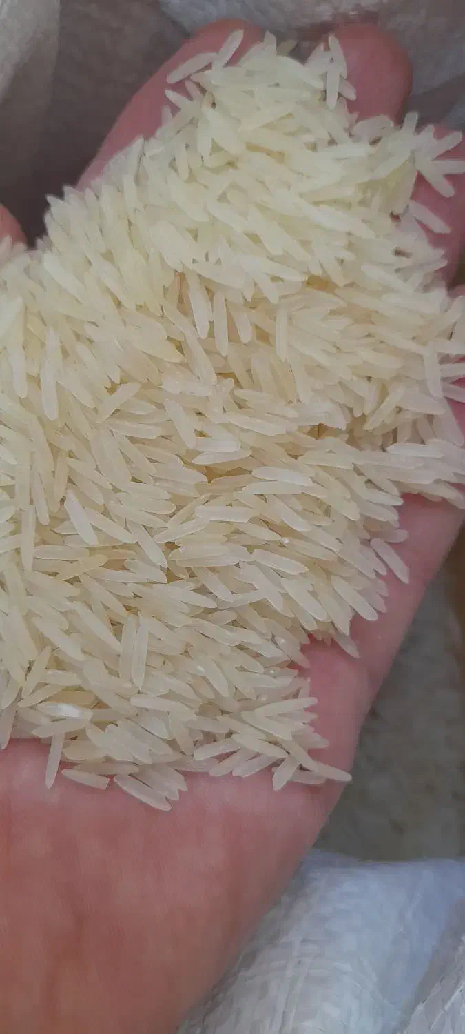 برنج هندی دانه بلند   کالابرگ اصفهان کارت  آزاد|خوردنی و آشامیدنی|اصفهان, رزمندگان|دیوار