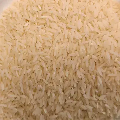 فروش برنج طارم هاشمی اعلا از مزرعه بابل|خوردنی و آشامیدنی|تهران, وحیدیه|دیوار