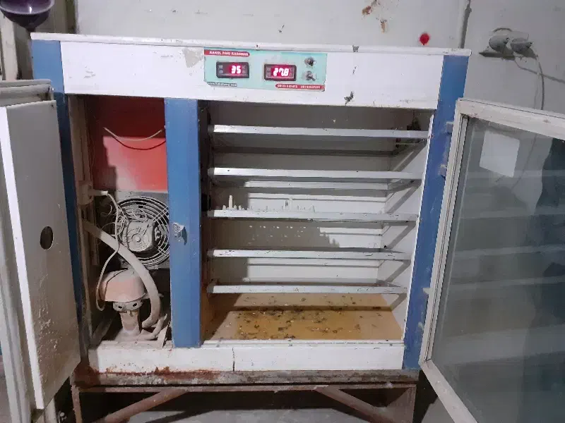 دستگاه جوجه کشی|لوازم جانبی حیوانات|تربت‌حیدریه, ۴۵ متری|دیوار