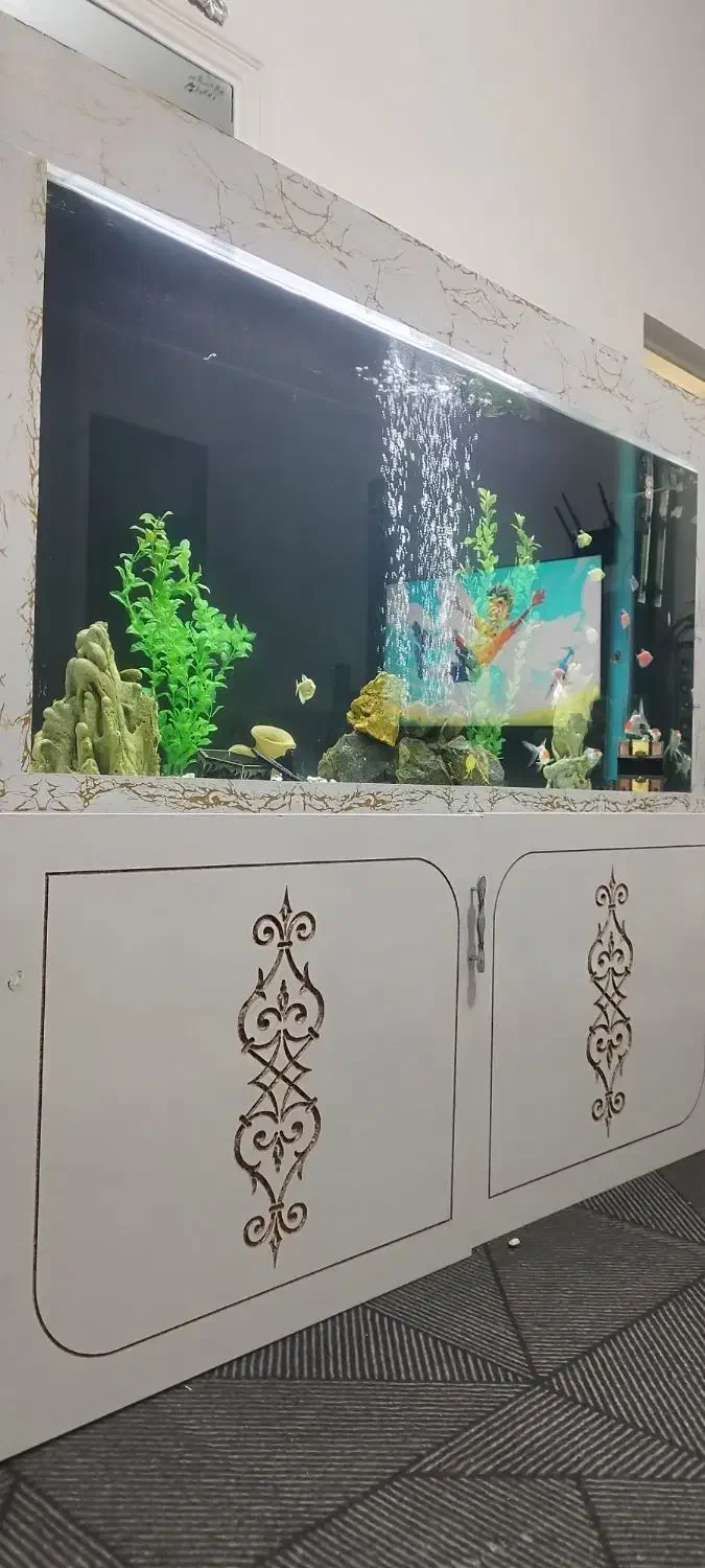 اکواریوم بزرگ|ماهی|سبزوار, امام خمینی (ناوی)|دیوار