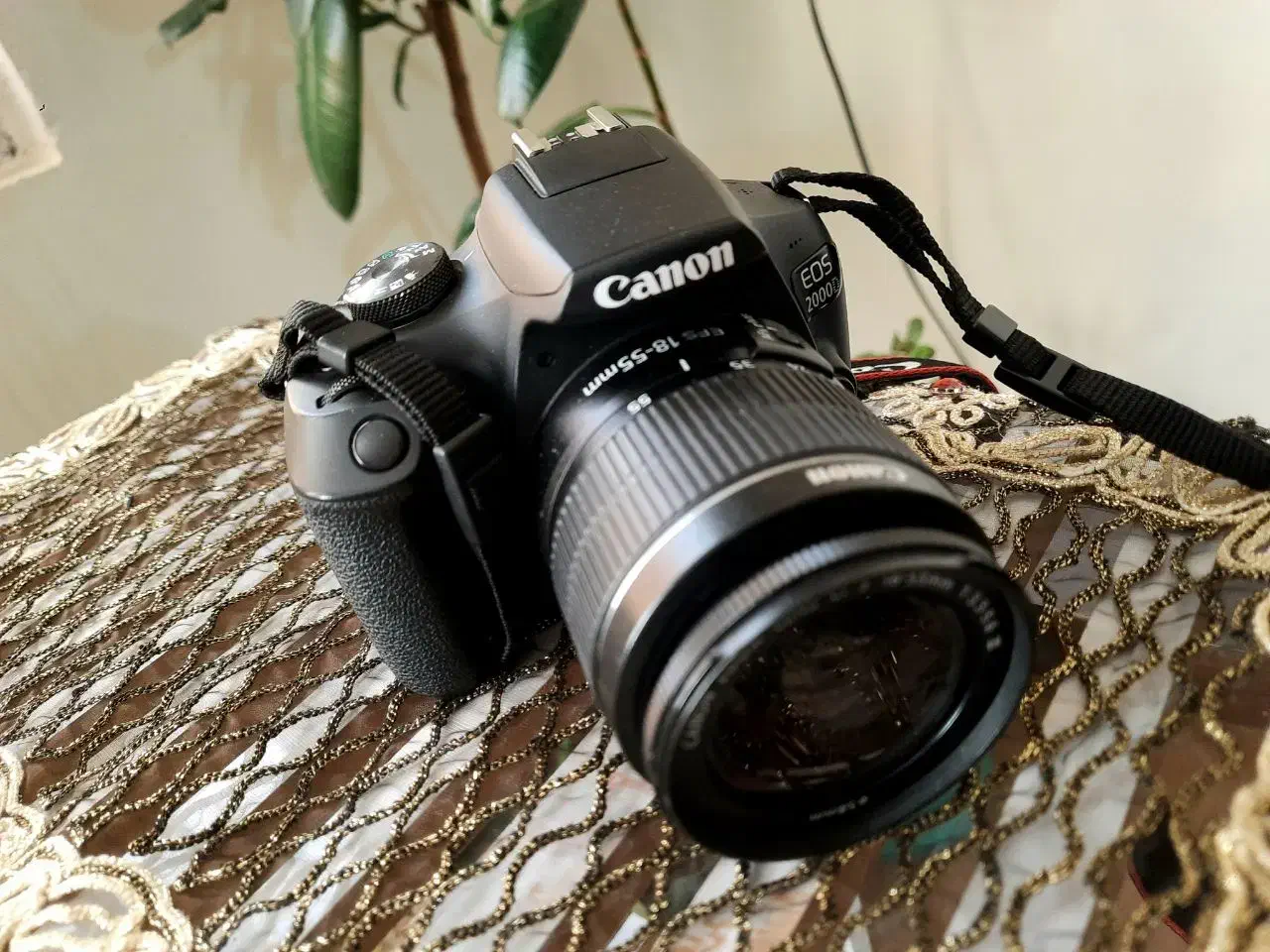 دوربین عکاسی|دوربین عکاسی و فیلمبرداری|بیرجند, |دیوار